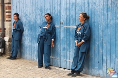 Cie La Colombe Enragee * (41 Diapositives)